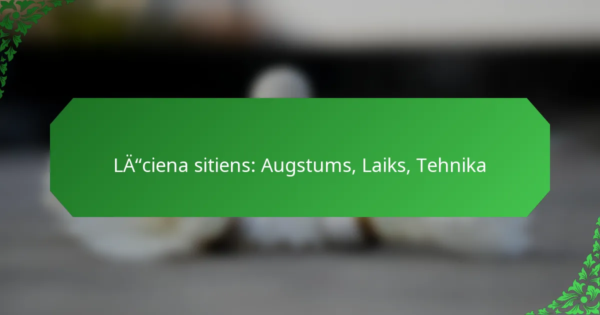 Lēciena sitiens: Augstums, Laiks, Tehnika